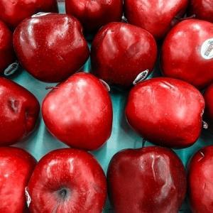 Red Delicious Gala Apples