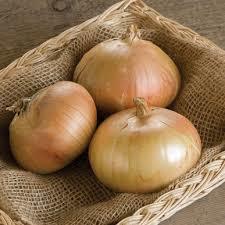 Farm Fresh Onions Vegetable