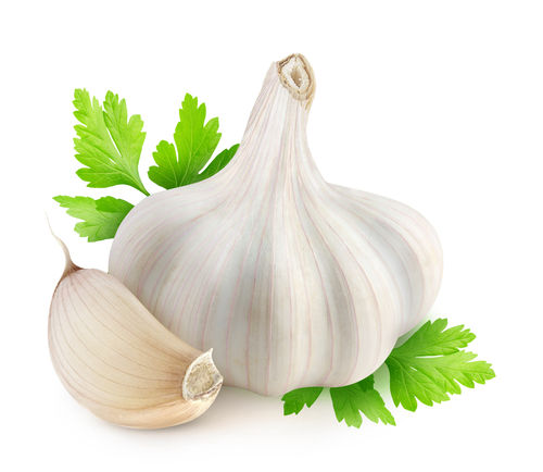 Fresh Indian White Garlic