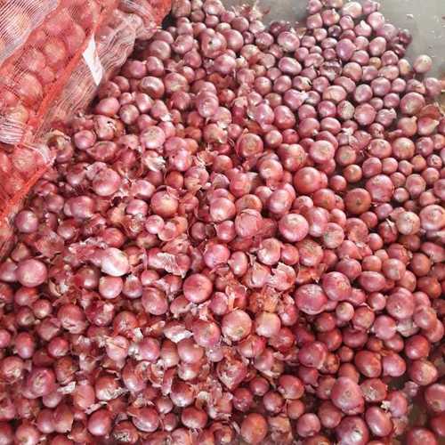 Farm Fresh Red Onion