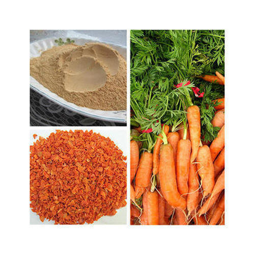 Pure Dehydrated Carrot Powder