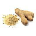 Pure Dehydrated Ginger Powder