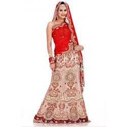 Ladies Simple Fancy Lehenga Cholis Size: Medium