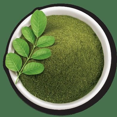 Moringa Dried Leaf Powder