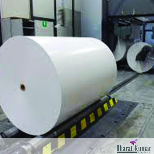 White Industrial Paper Roll