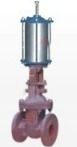 Cylinder Operated Gate Valves