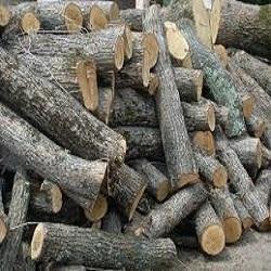 Moisture Resistance Firewood Logs