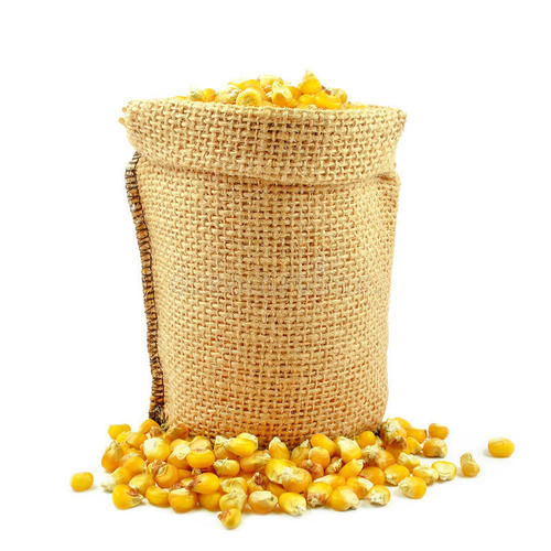 Dried Indian Yellow Maize