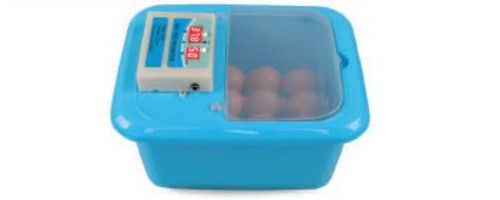 Fully Electronic Egg Incubator