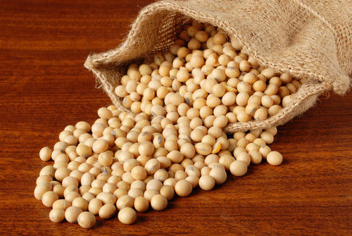 Organic Soybean (Crop 2016)