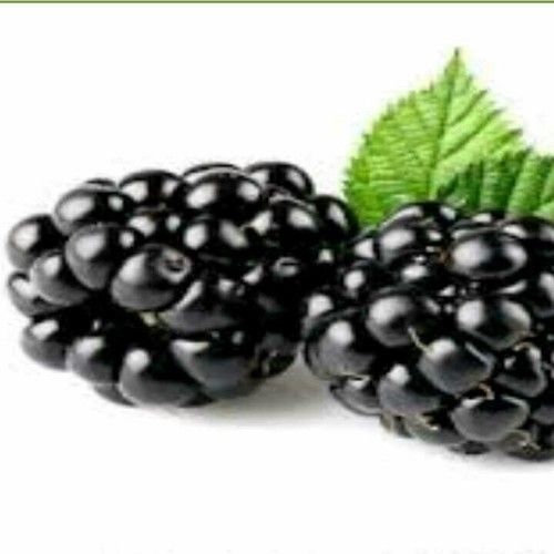 Fresh Tasty Black Grapes