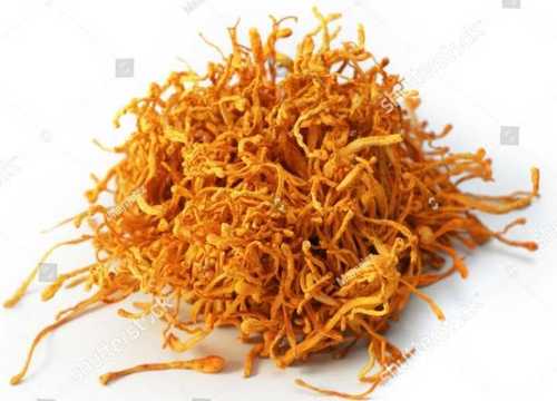 Pure Herbal Cordyceps Militaris