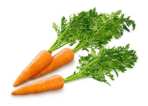 Fresh Carrot With Numerous Health Benefit