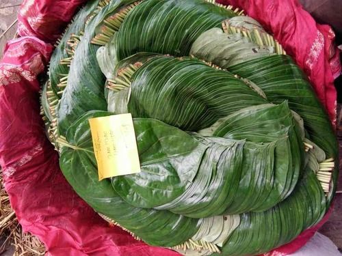 Fresh Bangla Betel Leaf