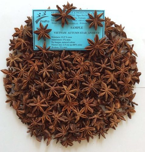 Autumn Star Anise Good Quality By Vinapro Vietnam
