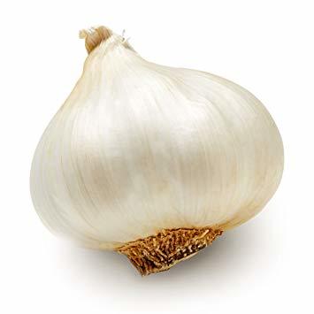 Fresh And Hygienic White Garlic