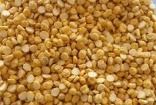 Fine Processed Chana Dal