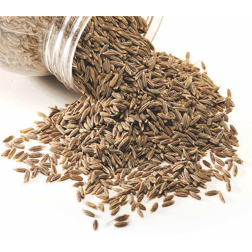 Fresh Dry Cumin Seeds