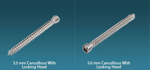 Cancellous With Locking Head