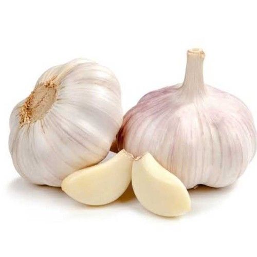 Fresh Organic Pure Garlic