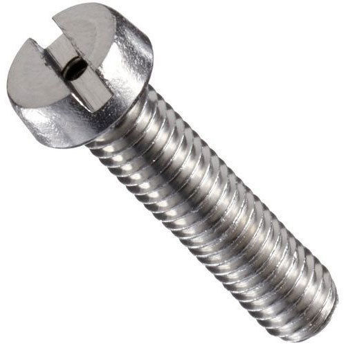 Polished SS Slotted Cheese Head Screw