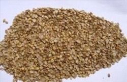 Coriander Seeds Split