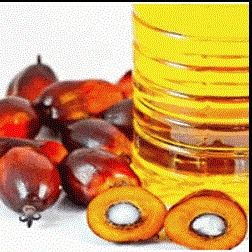 Top Quality Palm Oil