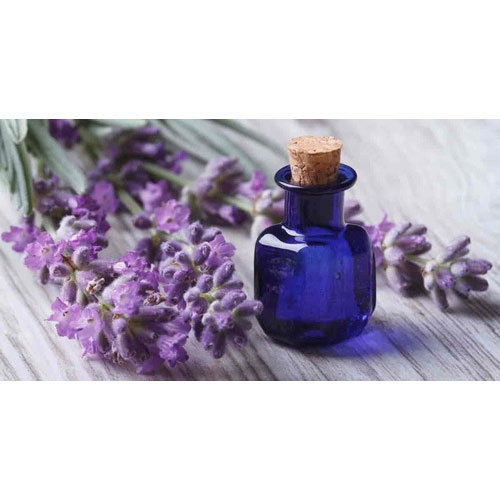 Highly Demanded Lavender Essential Oil