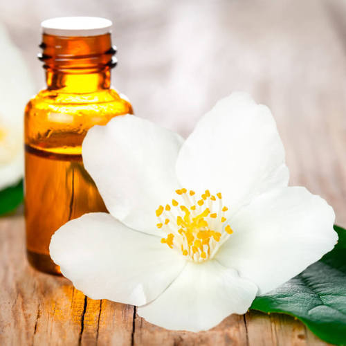 Hygienically Processed Jasmine Essential Oil