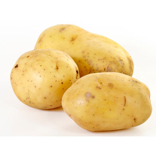 High Grade Fresh Potato