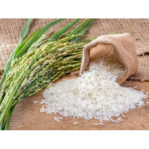Plain White Indian Basmati Rice