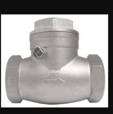 Stainless Steel Swing Check Valves