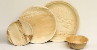 Areca Disposable Plates