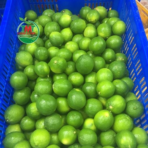 Farm Fresh Seedless Lime