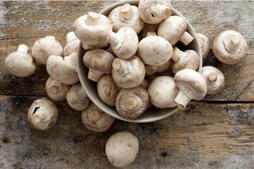 Rich In Vitamin Button Mushroom