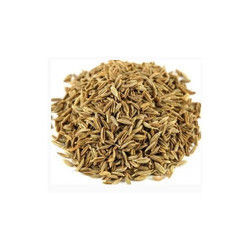 Excellent Quality Cumin Seeds