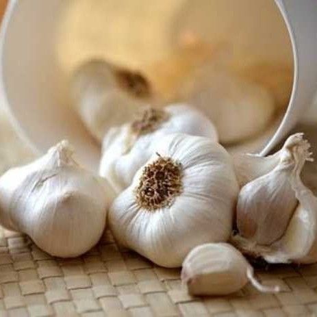 High Quality Fresh Garlic