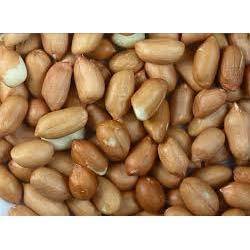 Organically Cultivated Bold Peanut