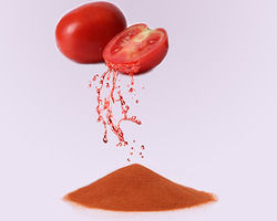 tomato powder