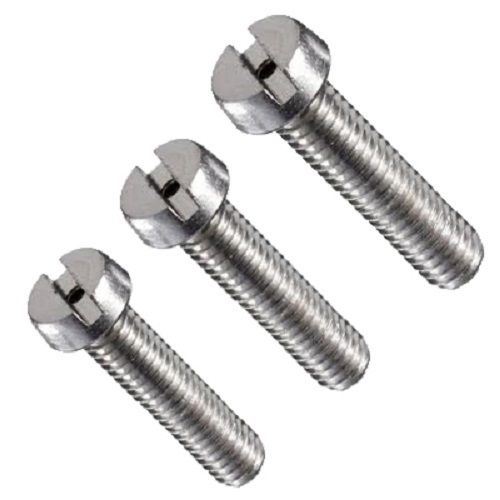 Standard Stainless Steel Screw