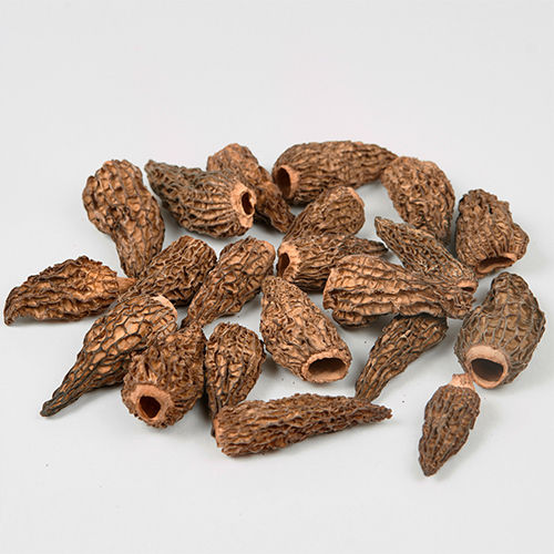 Dried Morels (Morchella Conica) Mushrooms