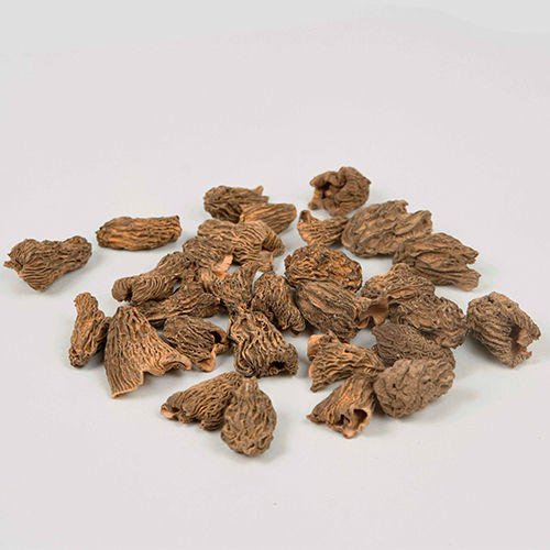 Wild Harvested Dried Morels (Verpa Bohemica)