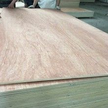 Bb, Cc Grade Oak Bintangor Commercial Plywood Core Material: Poplar