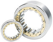 Cylindrical Roller Bearings