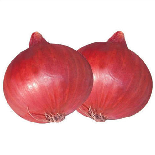 Cost Efficient Fresh Onion
