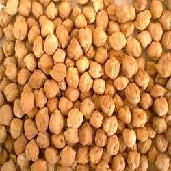 Highly Nutritious Chick Peas