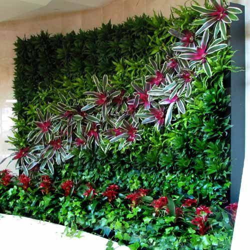Natural Decorative Plant