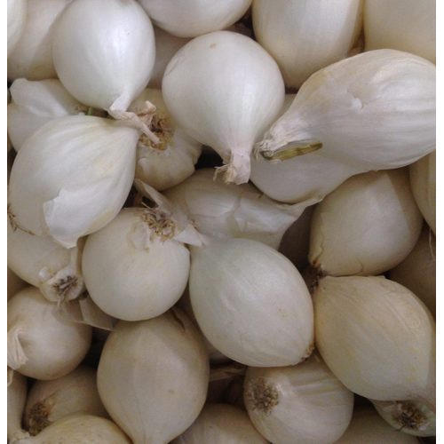 Silverskin Fresh White Onion