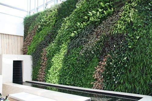 Vertical Green Walls Services
