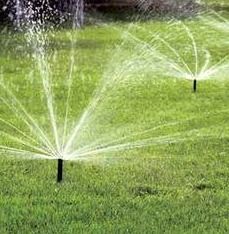 Effective Sprinkler Irrigation Systems